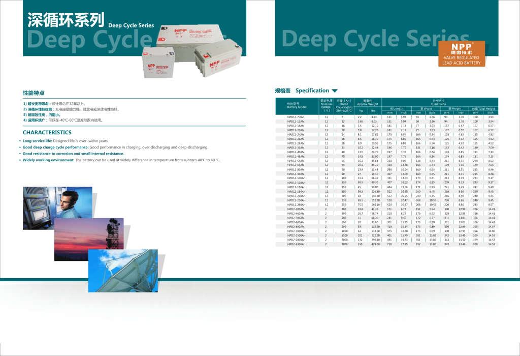攜手進、共輝煌 — NPP耐普越南2024年總結會議紀實